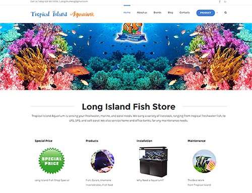 推广Fish Store Long Island排名第一，客户流量暴增